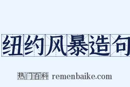 纽约风暴造句是什么意思的图片